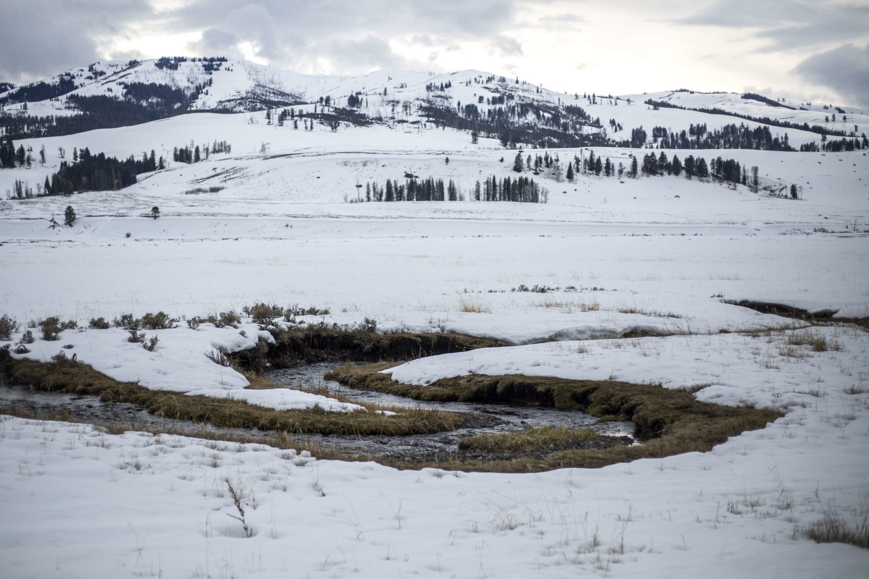 Yellowstone National Park
